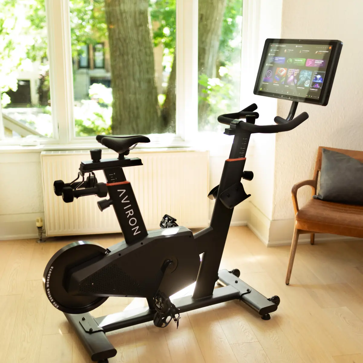 Aviron Fit Bike - Image 2