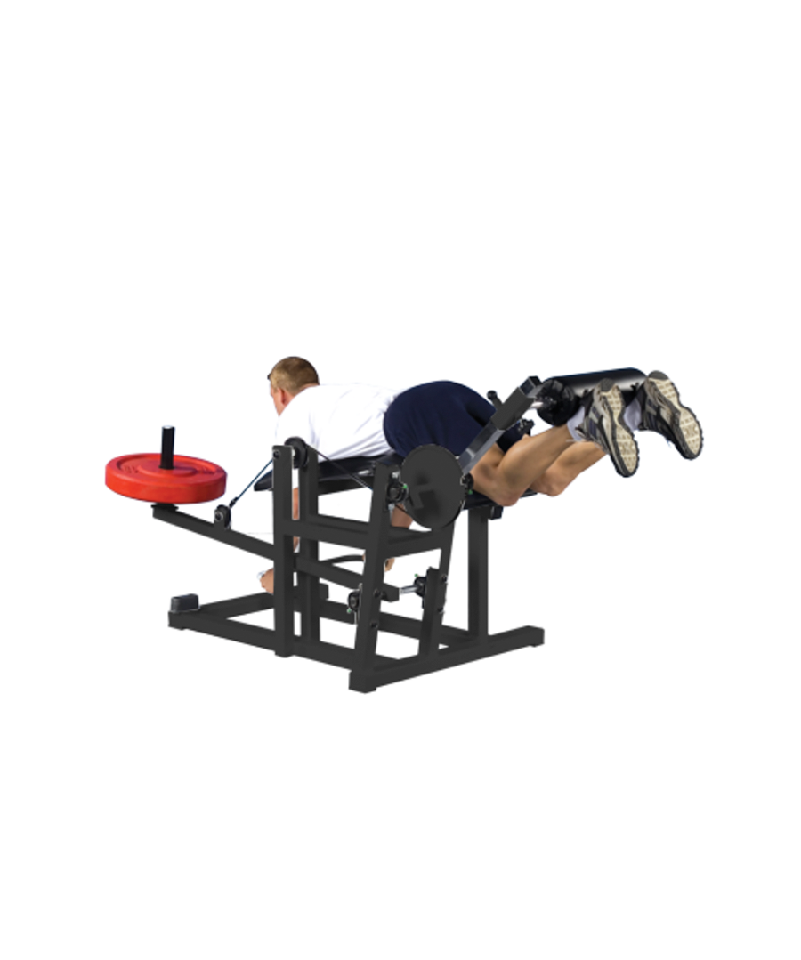 PL-13A POWER LEG CURL